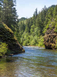 P5200234_60.jpg (1426602 bytes)