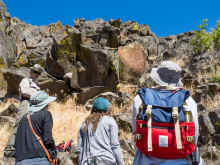 P5300407_60.jpg (1028954 bytes)