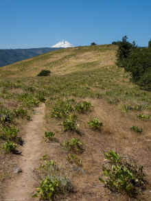 P6030469_60.jpg (1256047 bytes)