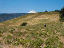 P6030474_60.jpg (1188067 bytes)