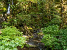 P6040522_60.jpg (1377575 bytes)