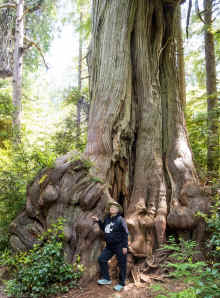 P6050634_60.jpg (1035381 bytes)