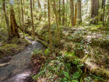 P6050646_60.jpg (1824278 bytes)