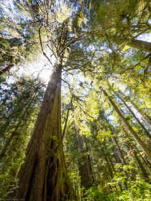 P6050660_60.jpg (1705855 bytes)