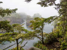 P6060678_60.jpg (1231637 bytes)