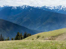 P6060689_60.jpg (851791 bytes)