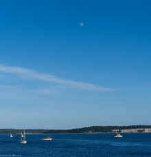 P6060718_60.jpg (269201 bytes)