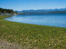 P6070734_60.jpg (1291069 bytes)