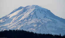 P6120824_60.jpg (317612 bytes)