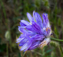 P6170875_90.jpg (199626 bytes)