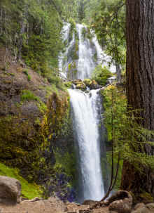 P6180891_60.jpg (1128920 bytes)