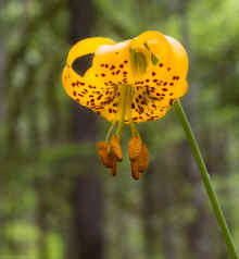 P6180898_90.jpg (257866 bytes)