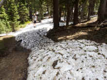 P6240901_60.jpg (1268472 bytes)