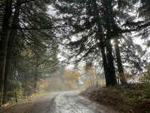 IMG_1582_90.jpg (2016301 bytes)