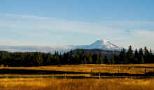 PA041299_60.jpg (355656 bytes)