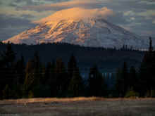 PA200213_60.jpg (523595 bytes)