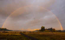 PB010342_60.jpg (217831 bytes)