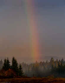 PB010346_60.jpg (433394 bytes)