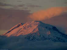 PB010364_60.jpg (280836 bytes)