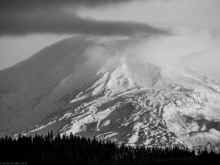 PB020384_60.jpg (431136 bytes)