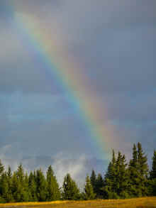 PB140475_60.jpg (399035 bytes)