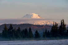 PB220481_60.jpg (339843 bytes)