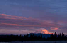 PC010499_60.jpg (159333 bytes)