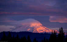 PC010504_60.jpg (236380 bytes)