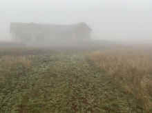 IMG_1731_80.jpg (755249 bytes)