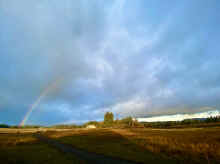 IMG_E1752_80.jpg (314955 bytes)