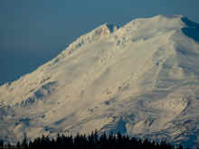 PC120541_60.jpg (366121 bytes)