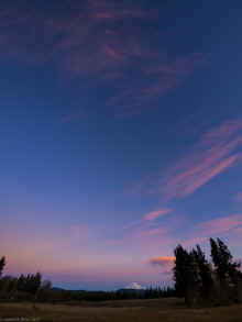 PC130552_60.jpg (244589 bytes)