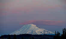 PC130553_60.jpg (242535 bytes)