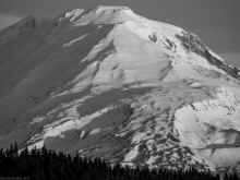 PC130572_60.jpg (441995 bytes)