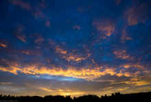 PC140577_60.jpg (309750 bytes)