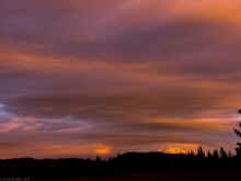 PC140583_60.jpg (272868 bytes)