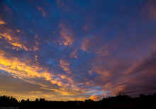 PC140578_60.jpg (288271 bytes)