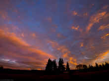 PC140579_60.jpg (285960 bytes)