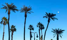 IMG_6332_90.jpg (413018 bytes)