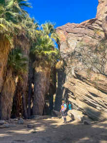 IMG_6360_90.jpg (1609381 bytes)