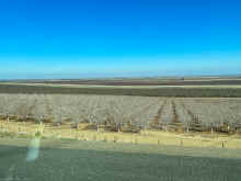 IMG_6599_90.jpg (1103483 bytes)