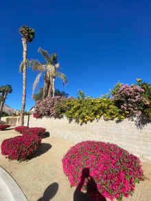 IMG_9858_90.jpg (1207877 bytes)