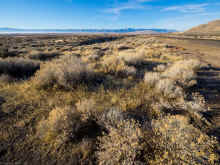 P1100045_60.jpg (1534075 bytes)