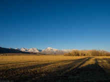 P1110103_60.jpg (486325 bytes)