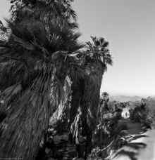 P1130241_60.jpg (677116 bytes)