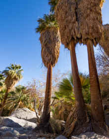 P1130275_60.jpg (915303 bytes)