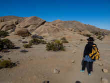 P1160319_60.jpg (694740 bytes)