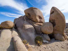 P1160325_60.jpg (926474 bytes)