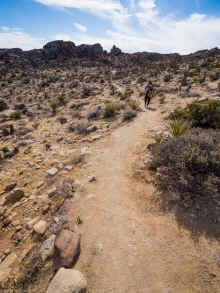 P1160330_60.jpg (1219091 bytes)