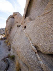 P1160343_60.jpg (1263009 bytes)